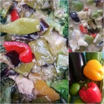 Thai_grünes Curry Pics